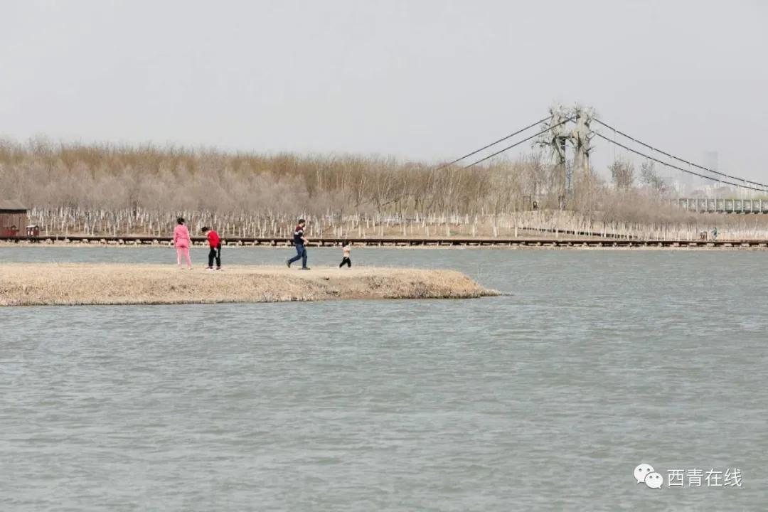 天津东疆港亲海公园今天开放吗,天津即将完工的公园