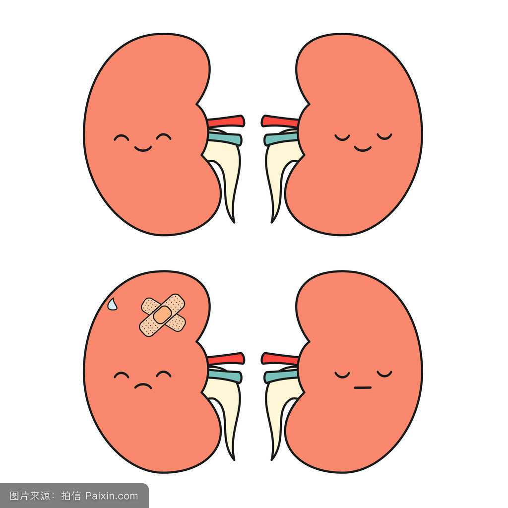 肾盂肾炎的饮食和保健调养你了解吗?请听护理点滴来为你解答