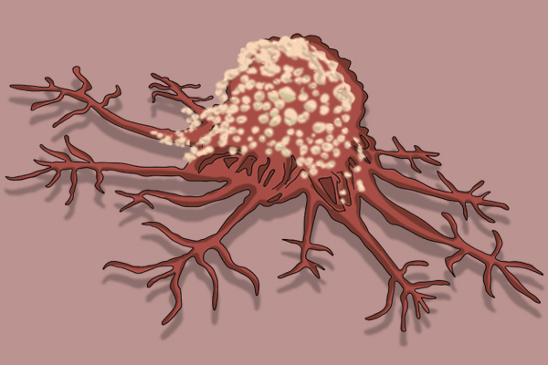 女子长期坚持喝蒲公英水,后来身体怎样?蒲公英真能杀死癌细胞?