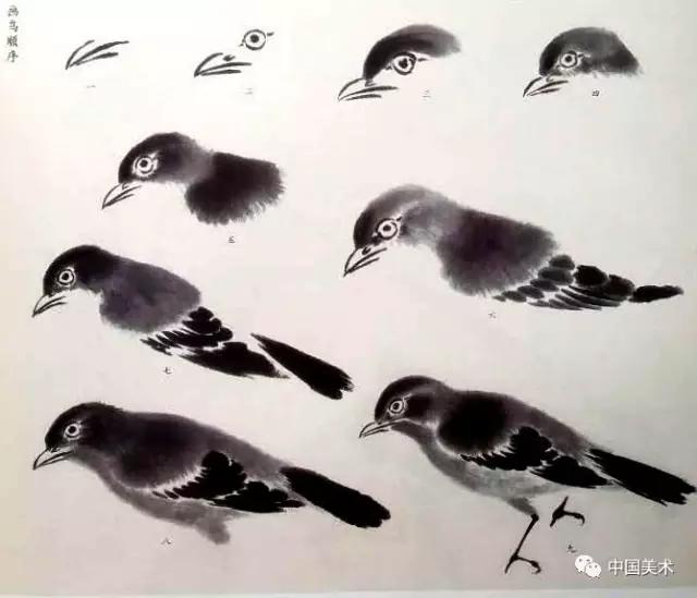 禽鸟画教程,最简单的禽鸟画法