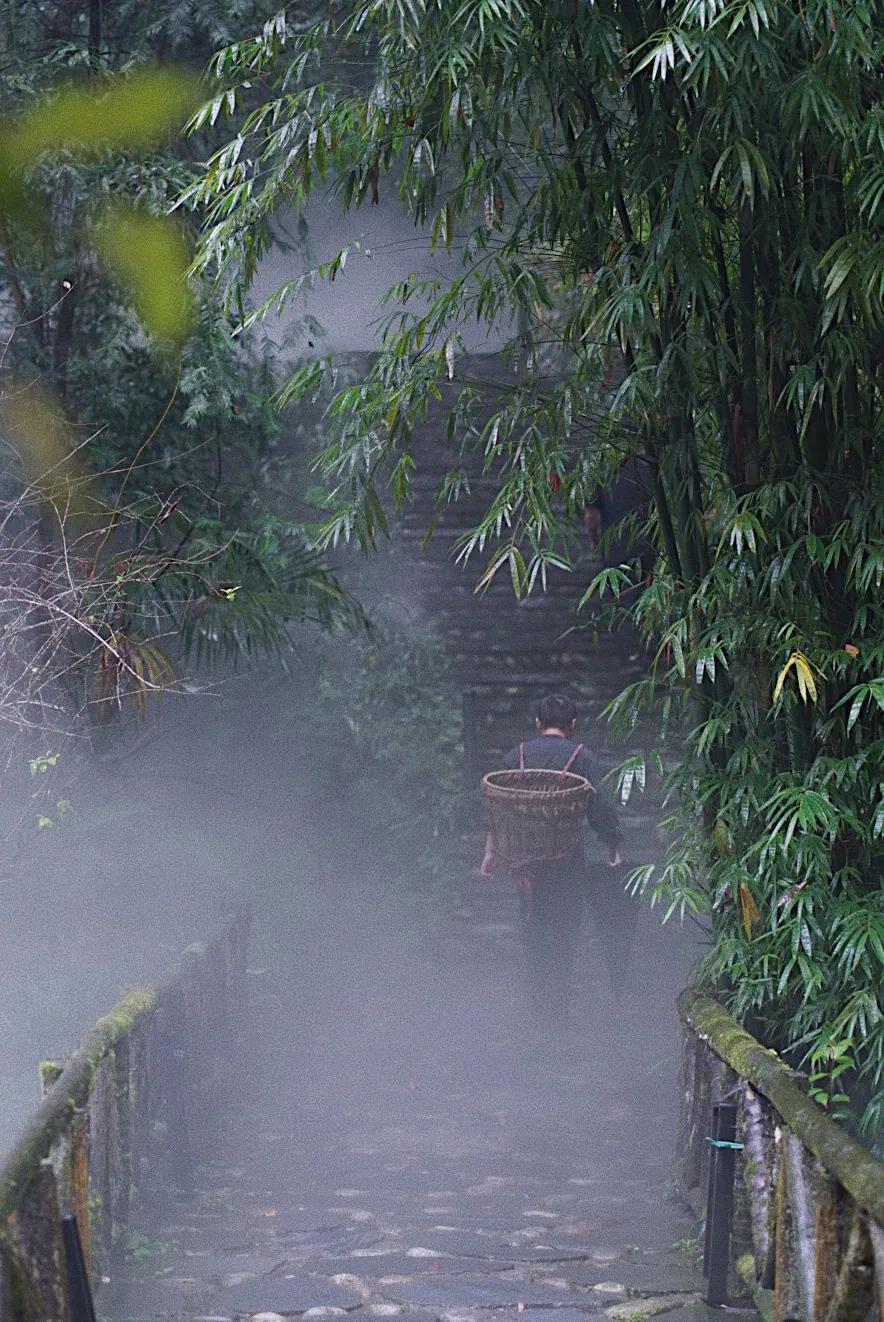 森林秘境的温泉,森林里野奢温泉度假酒店下午茶