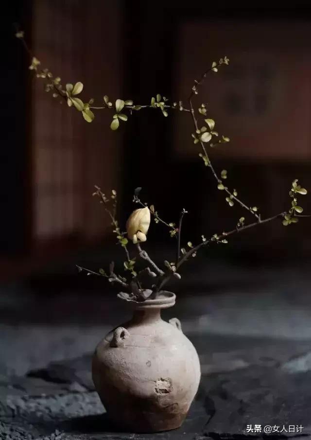 梁实秋生活美学,梁实秋生活在别处