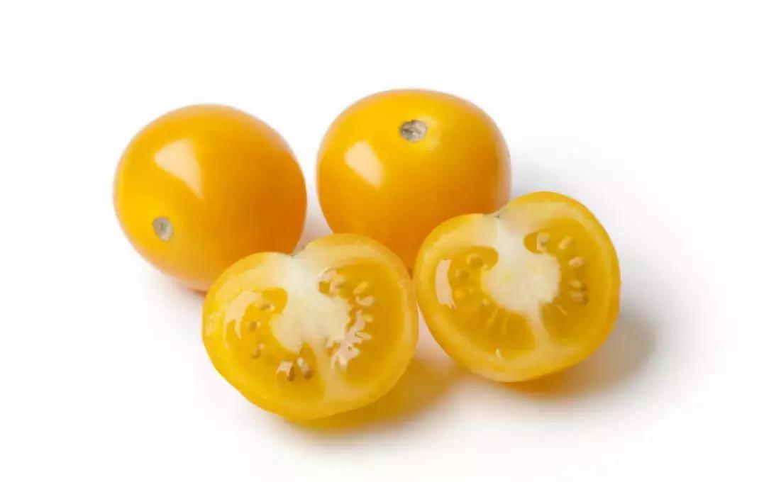 常见蔬菜种子催芽方法,蔬菜种子催芽小技巧