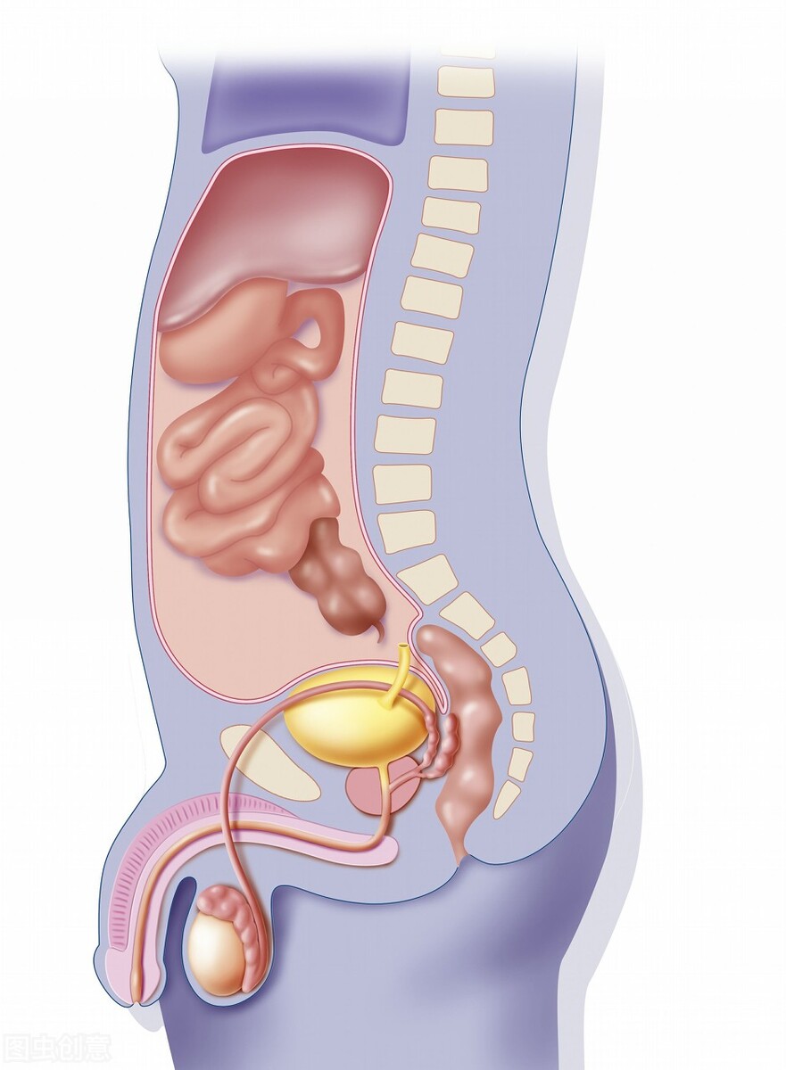 附子理中丸治疗腹泻严重,附子理中丸治腹泻吗