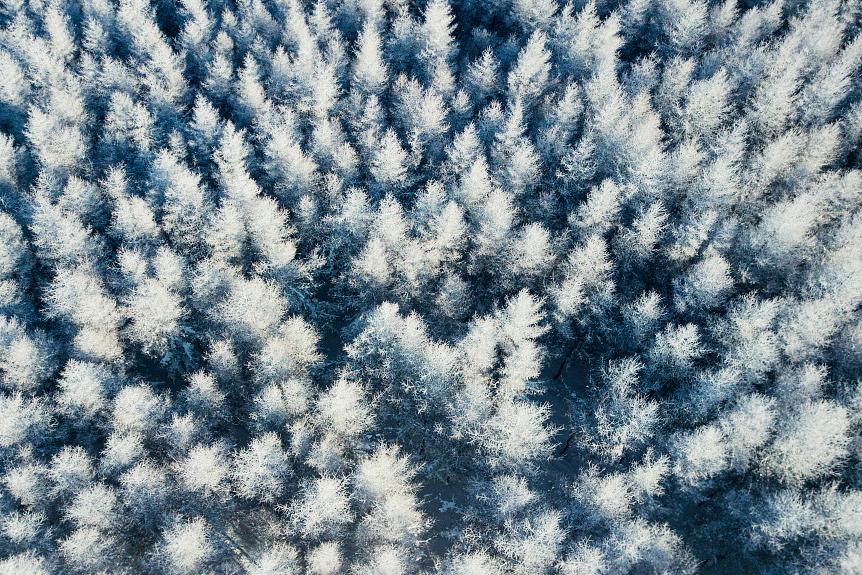 冬天去滑雪场要准备什么,冬天去滑雪注意什么