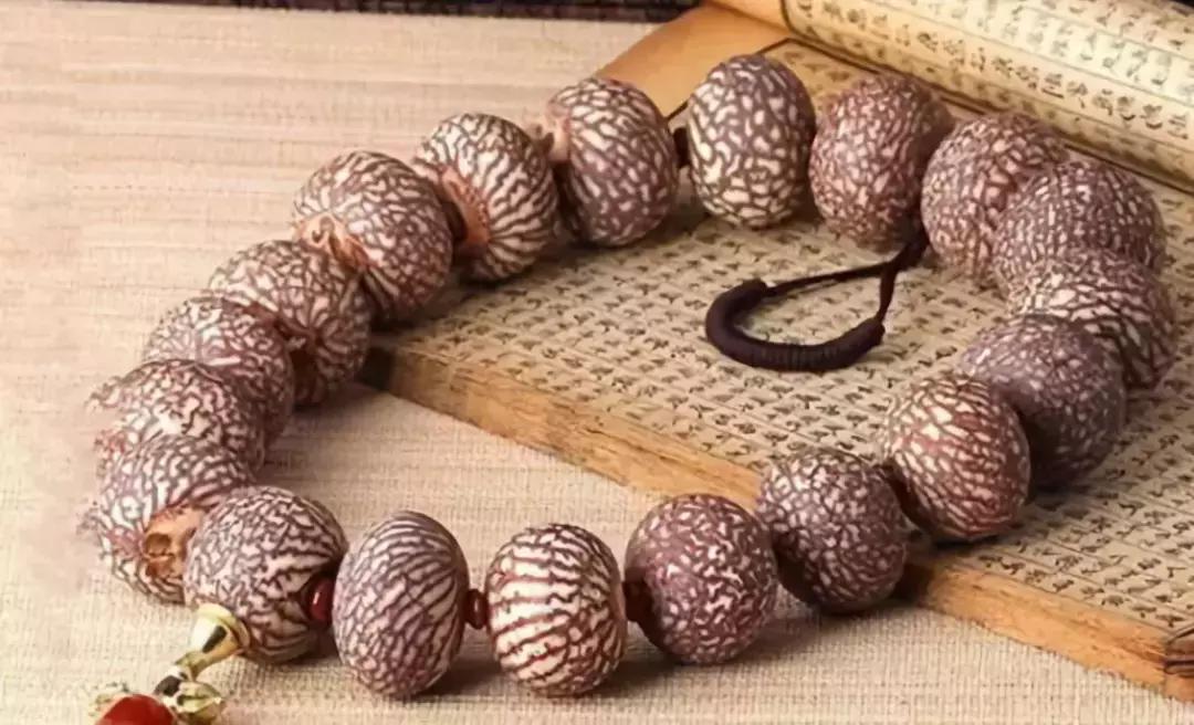 最全的菩提子图解太美了,最好的菩提子