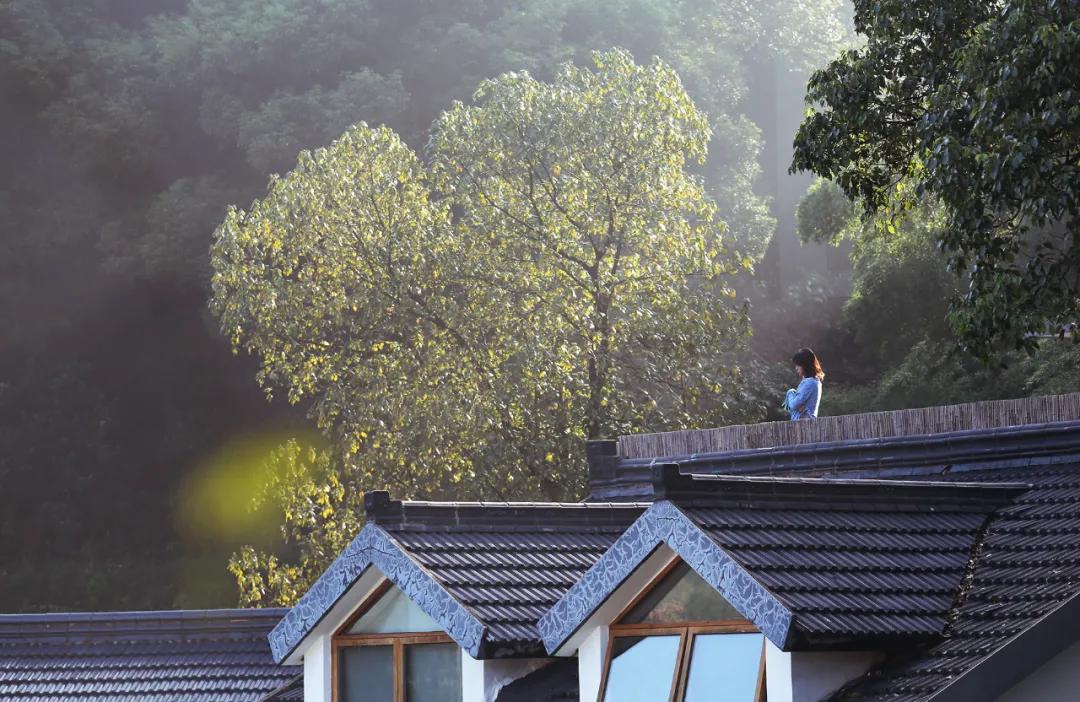 杭州满觉陇山舍民宿,杭州山舍满觉陇