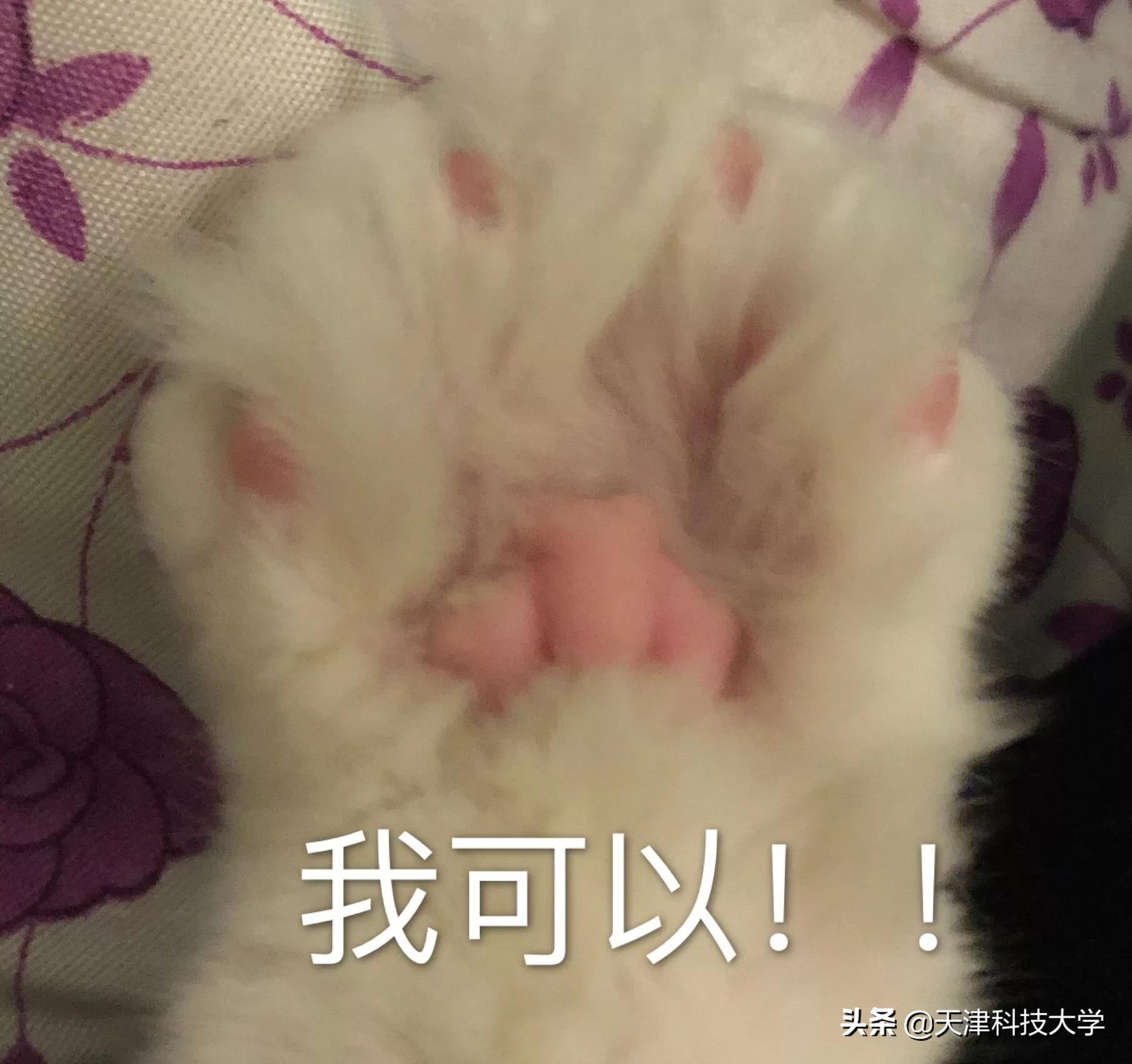 如何提高专注力和记忆力,如何提高专注力