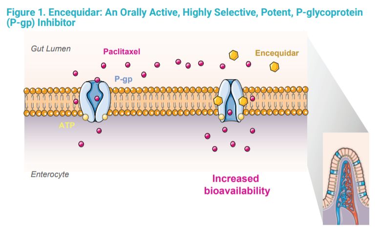 罗氏中医调理癌症,国产pd1治疗膀胱癌新药