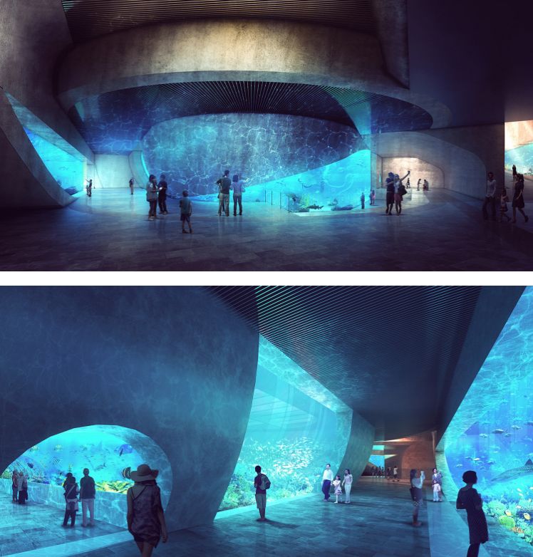 青岛海洋馆和海昌极地哪个好,青岛比极地海洋世界更好玩的地方