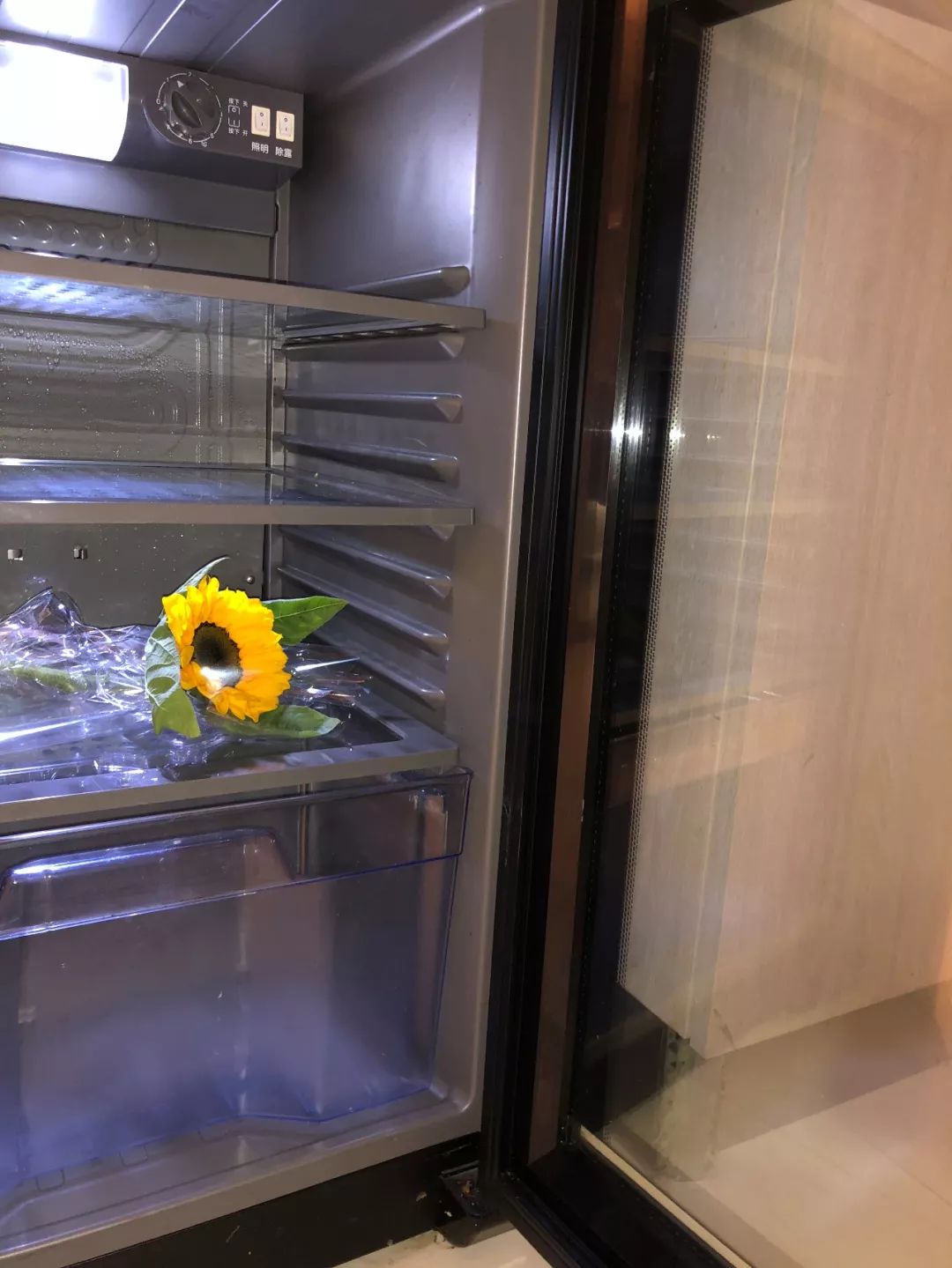 什么花最受女孩欢迎,女孩子中比较受欢迎的花