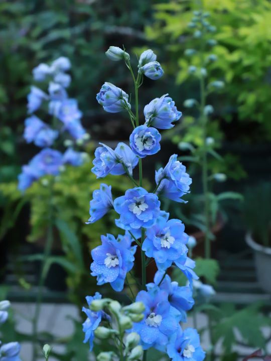 近义成语辨析八种方法,近义成语辨析