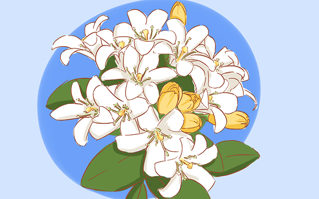 最近比较火的闺蜜礼物diy,小众又高级的礼物闺蜜生日礼物