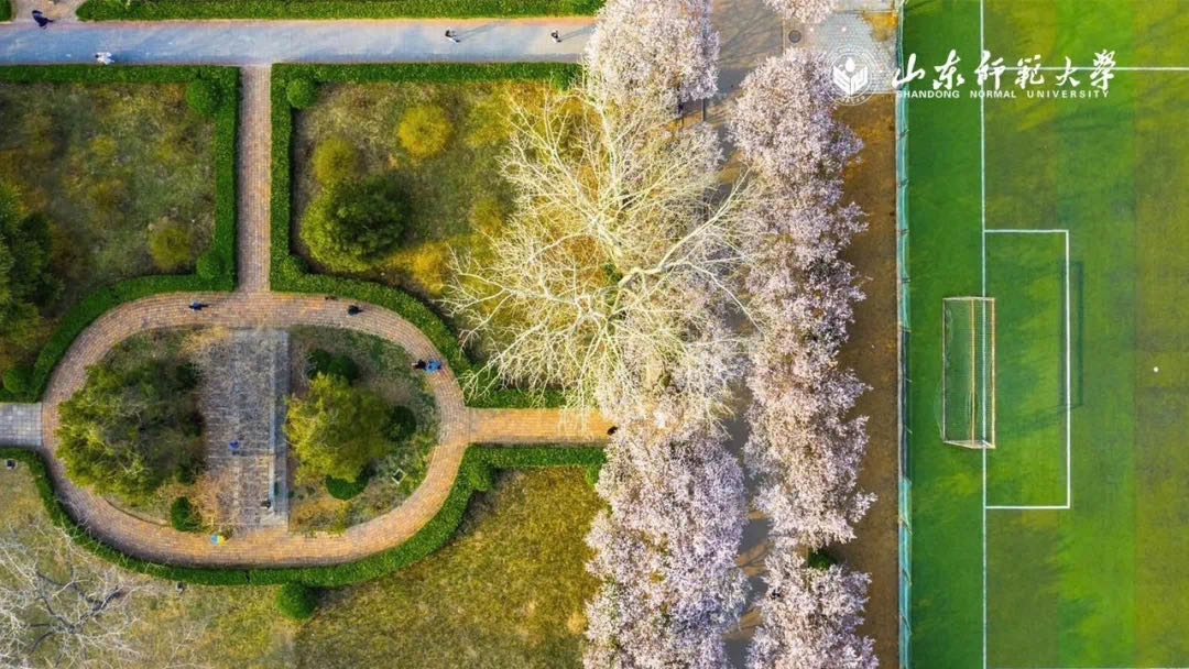 他是山东省现役唯一国际级裁判员，任职大学，受中国足协重点培养