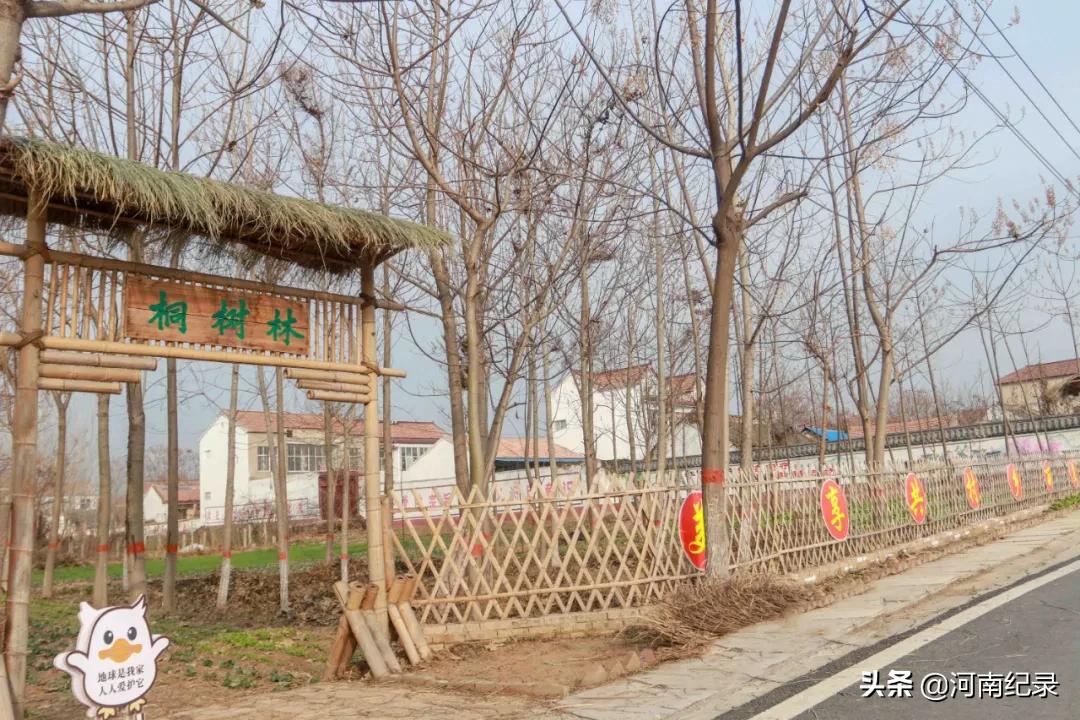 120个美丽乡村柘城入选,河南柘城县最美乡村