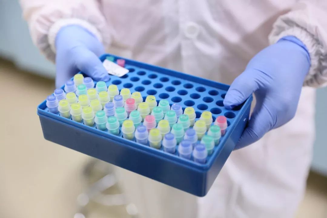 广州黄埔核酸检测结果,广州新病毒检测技术