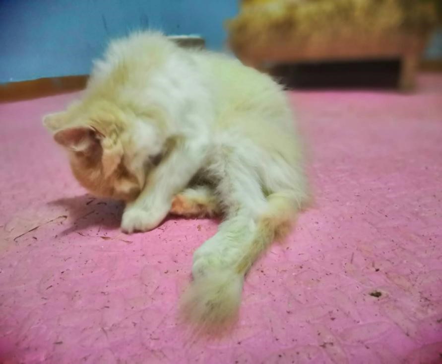 重庆遗憾博物馆,遗憾博物馆文案