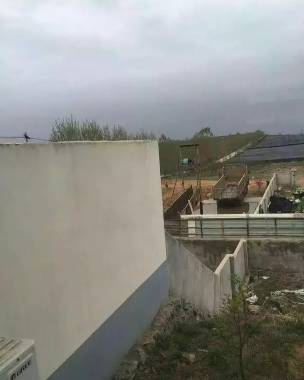 《抗非瘟战略如何布置，分期治疗是关键》——深度剖析