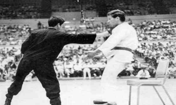 中华武术的真正精髓是什么,寸劲武术