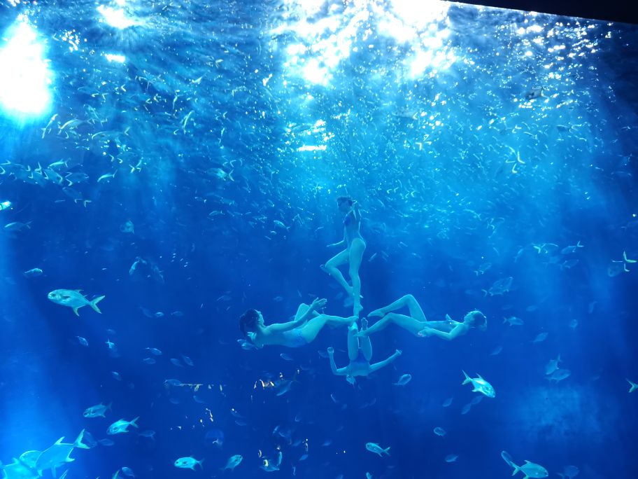 海昌海洋公园游玩攻略,武汉海昌海洋公园游玩攻略