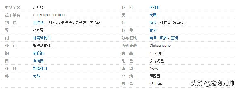 可爱小型犬品种大全排名,世界上最可爱的小型犬
