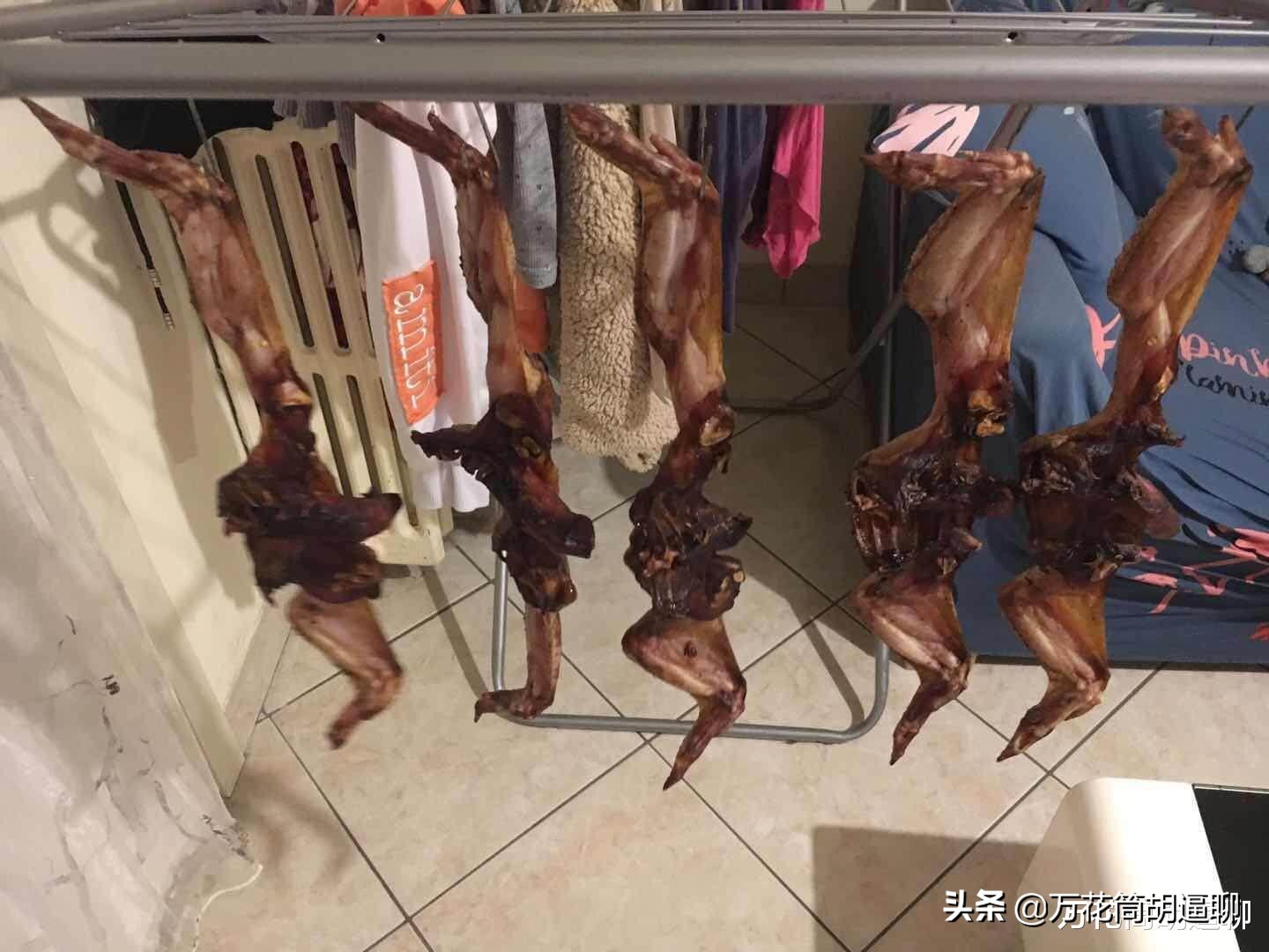 华人晒鸡翅被举报有蝙蝠,在家晒鸡翅被人看成蝙蝠