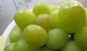 葡萄发黑果子不长是什么原因,葡萄长不大黄叶是怎么回事