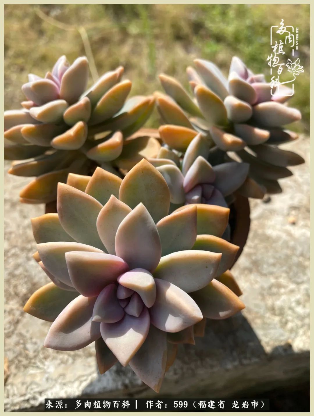 所有的热爱都不遗余力,所有的忙碌都是因为热爱