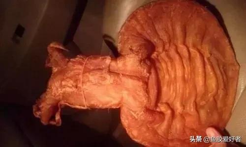 花胶涨发的正确方法,花胶的种类及区别