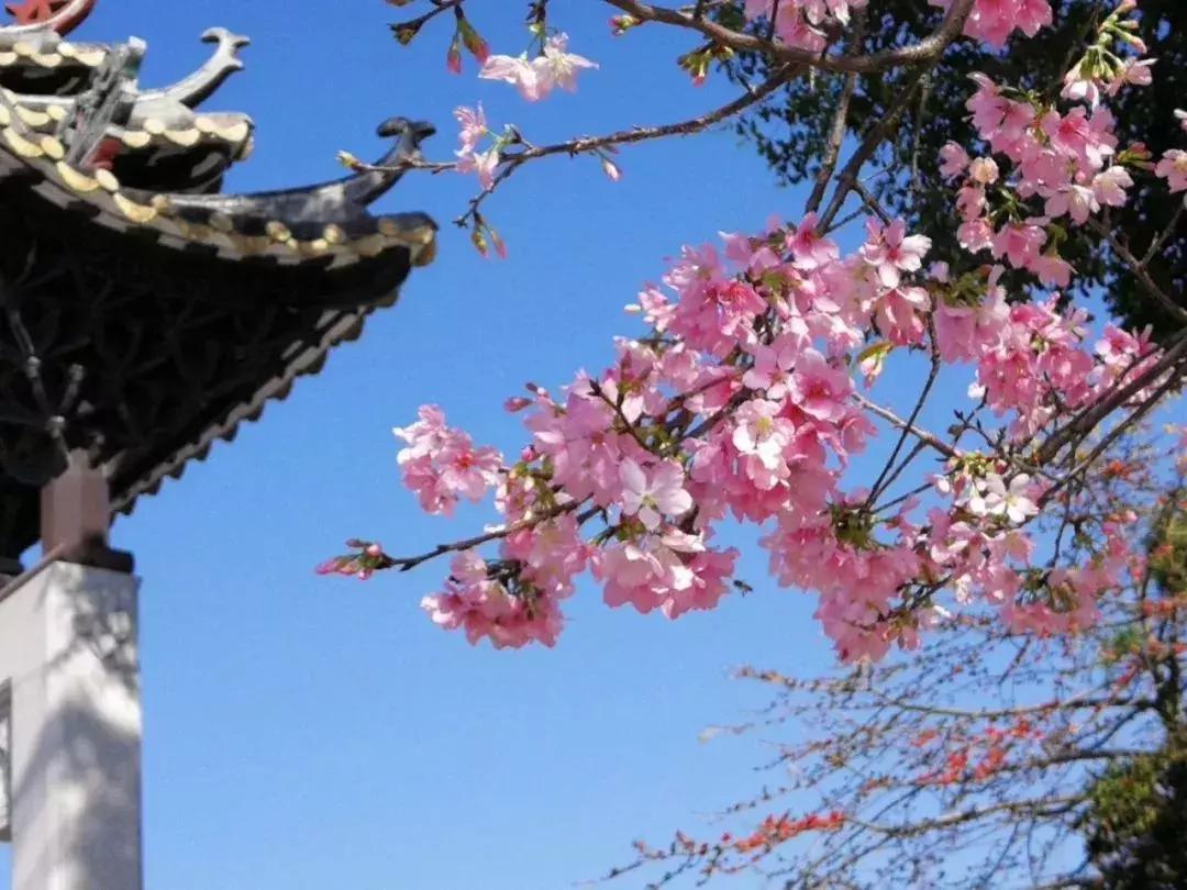 38女神节广州有哪些免费景点,38妇女节广州免票景点