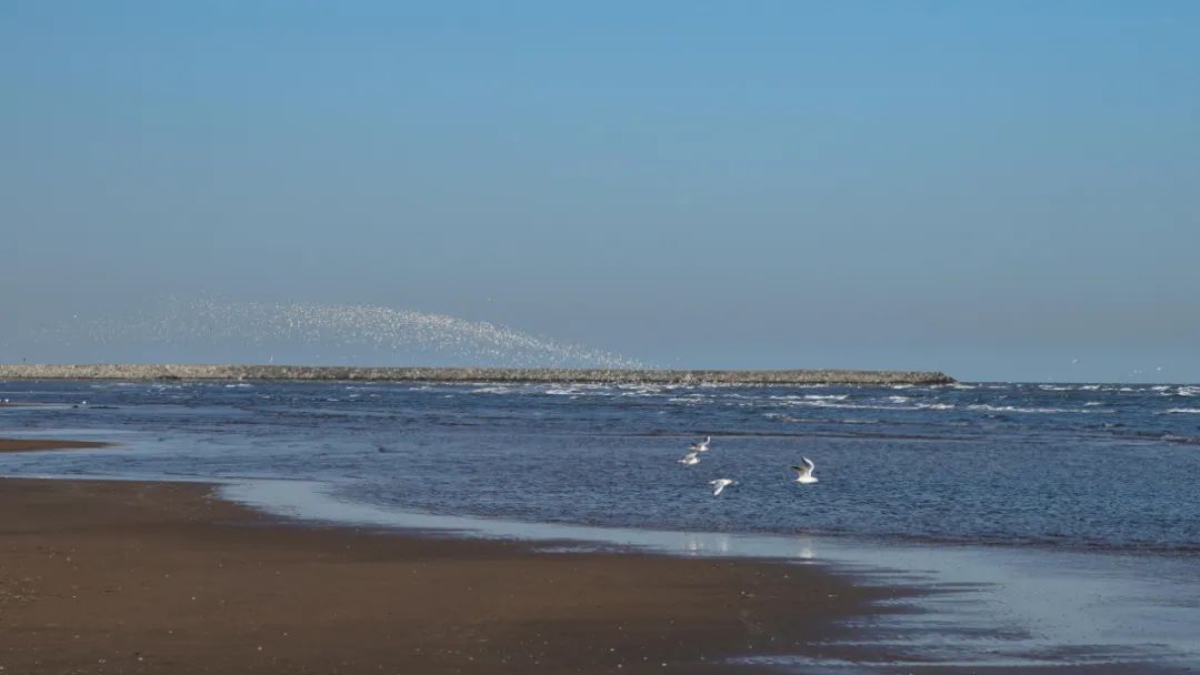 海对人们的意义,海对人类经济的影响