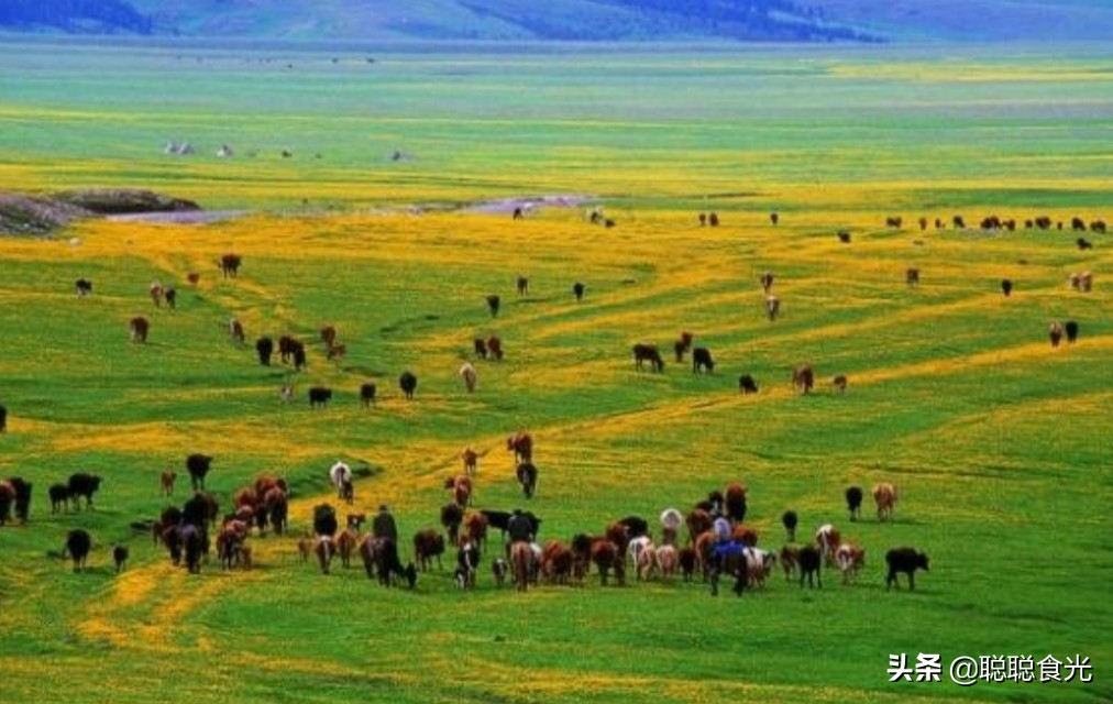 新疆真是个好地方风景如画,新疆真是个神秘又美丽的地方
