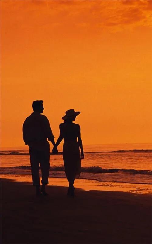 看各科老师所写的情书,盘点各科老师写给爱人的情书