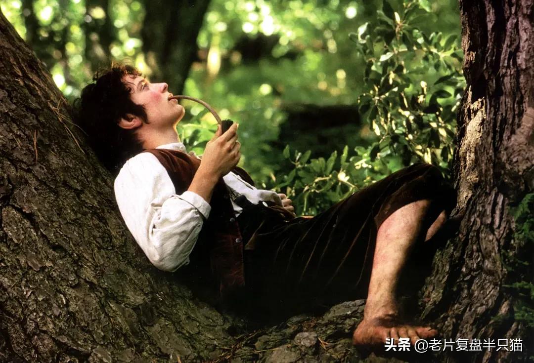 人皇阿拉贡召集亡灵大军全部视频,指环王阿拉贡是什么人