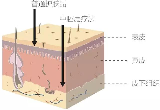 明星保养秘诀紧致提升淡化皱纹,医疗美容去皱纹抗衰老最有效方法