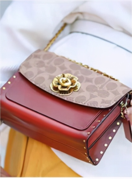 蔻驰哪款包适合女生,蔻驰的包包哪款好看