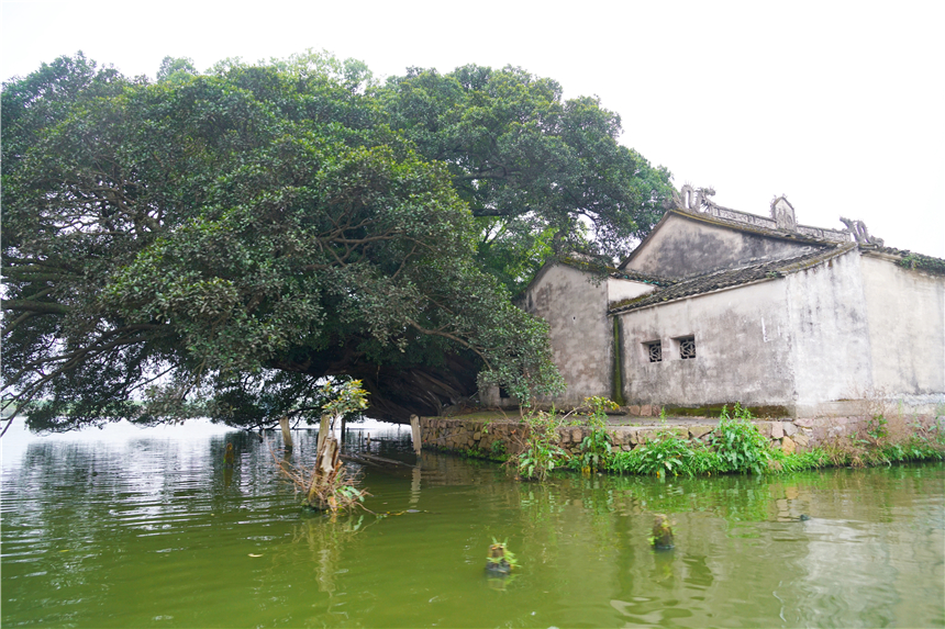 江南水乡旅游攻略四天三晚,温州旅行攻略四天三夜