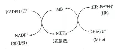 水产药物学,水产动物营养与饲料学