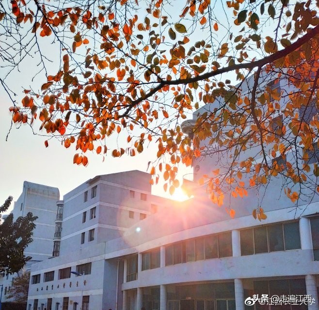这所大学占地面积全国第二，江西第一，学风朴实风景优美