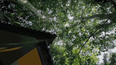 南京是一座来了就不想走的城市,为什么说南京