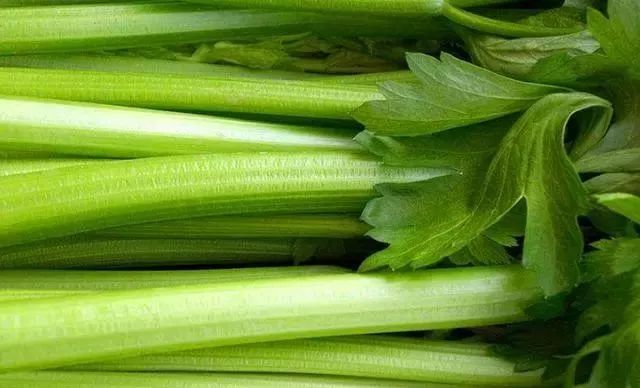 腌芹菜的做法大全集,腌芹菜的家常做法大全视频教程