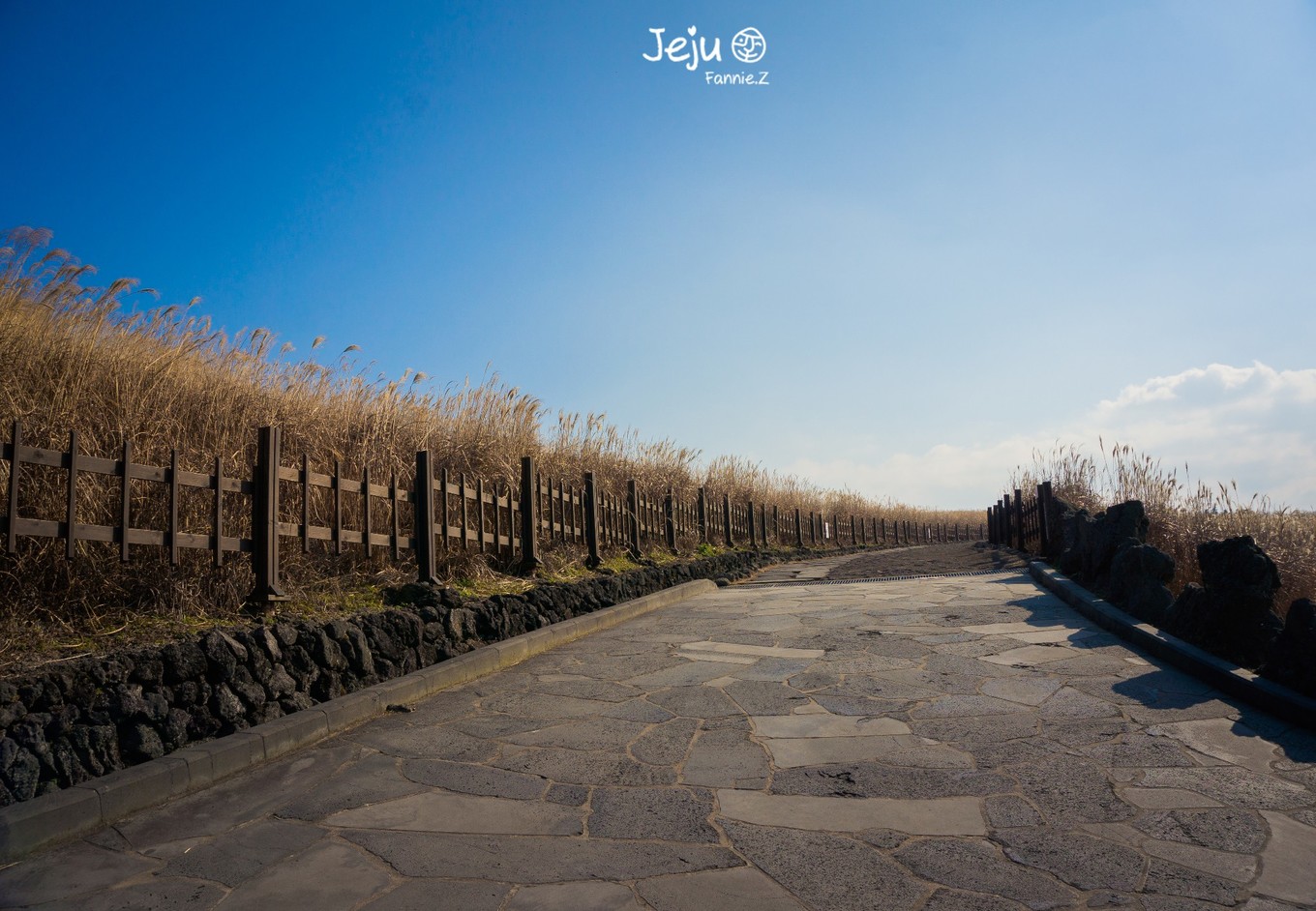 #嗨buy新罗#冬日,济州岛!想大声说遇见你有多幸运