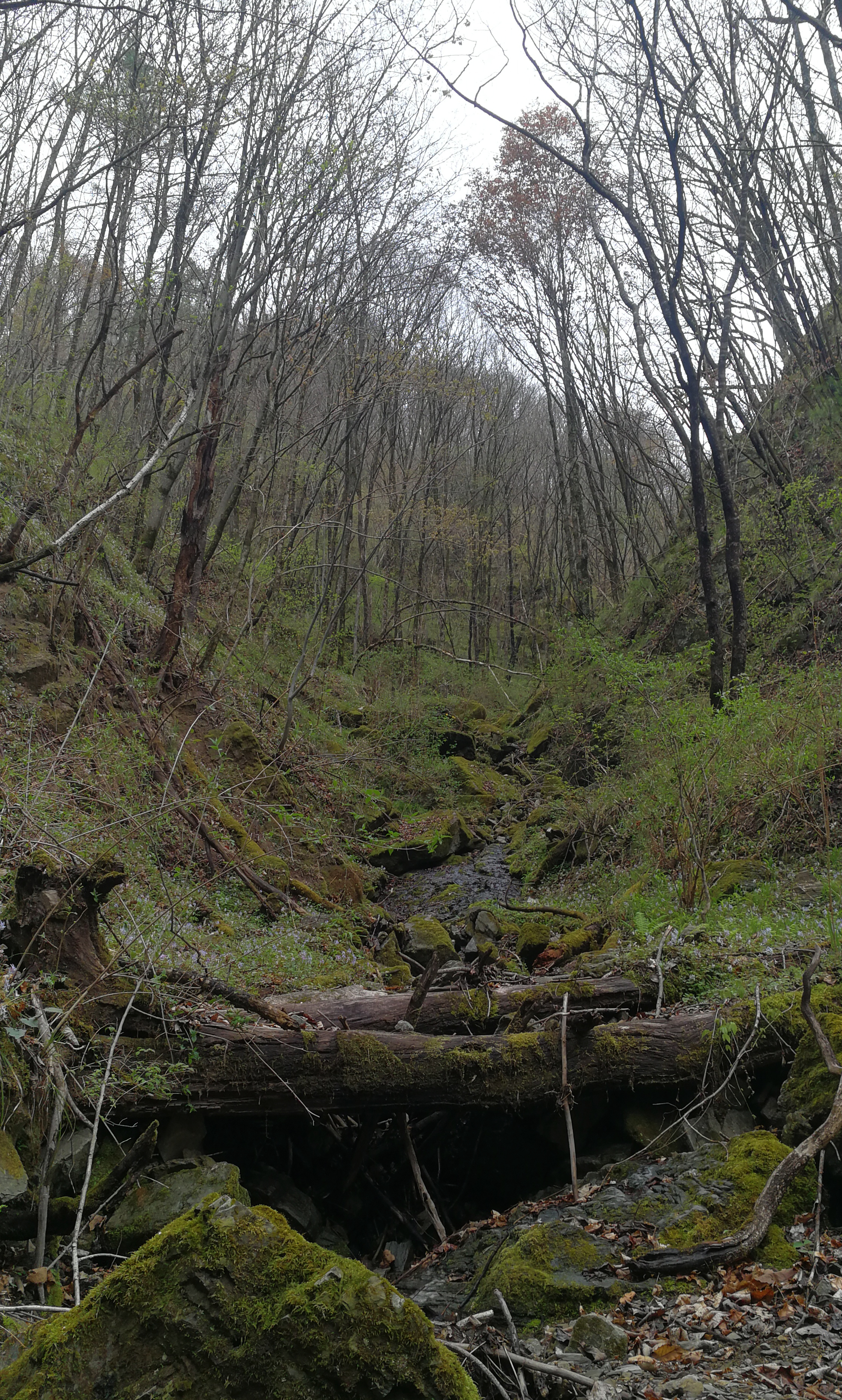 西安周至踏青赏花的路线攻略,周至老县城旅游攻略