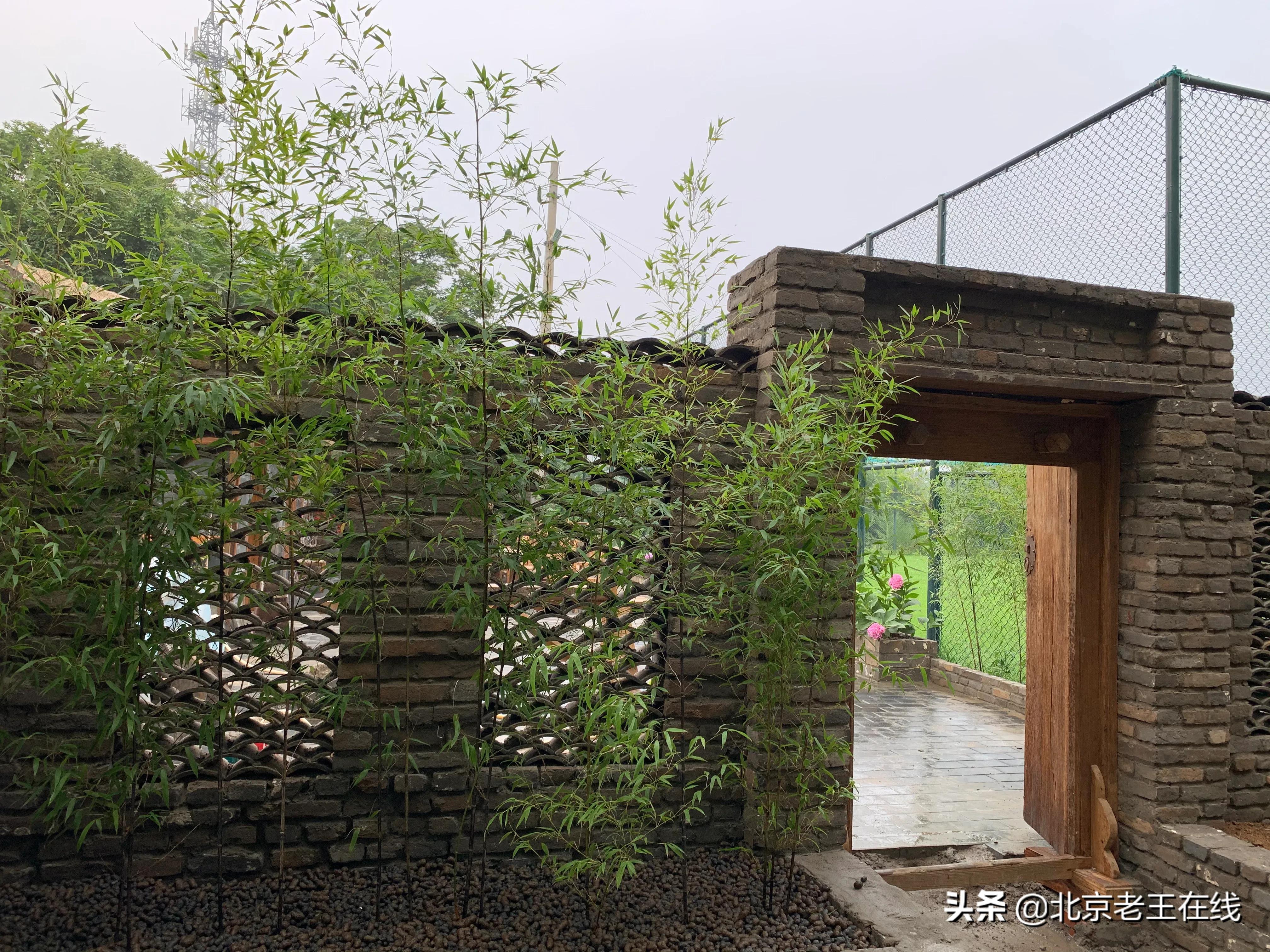 密云深山有什么好玩的地方,密云野游的好地方