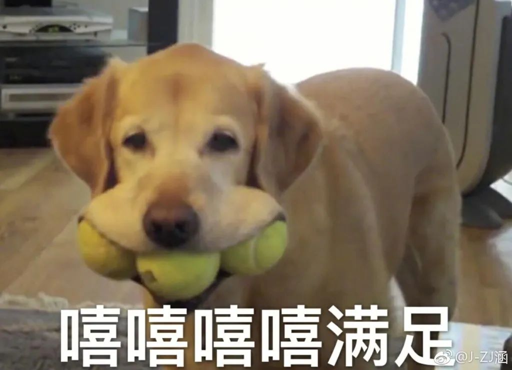 9.9隐形牙套,自制防磨牙套