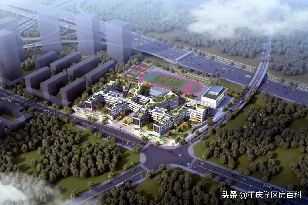 大渡口跳蹬有小学吗,大渡口跳蹬新建学校