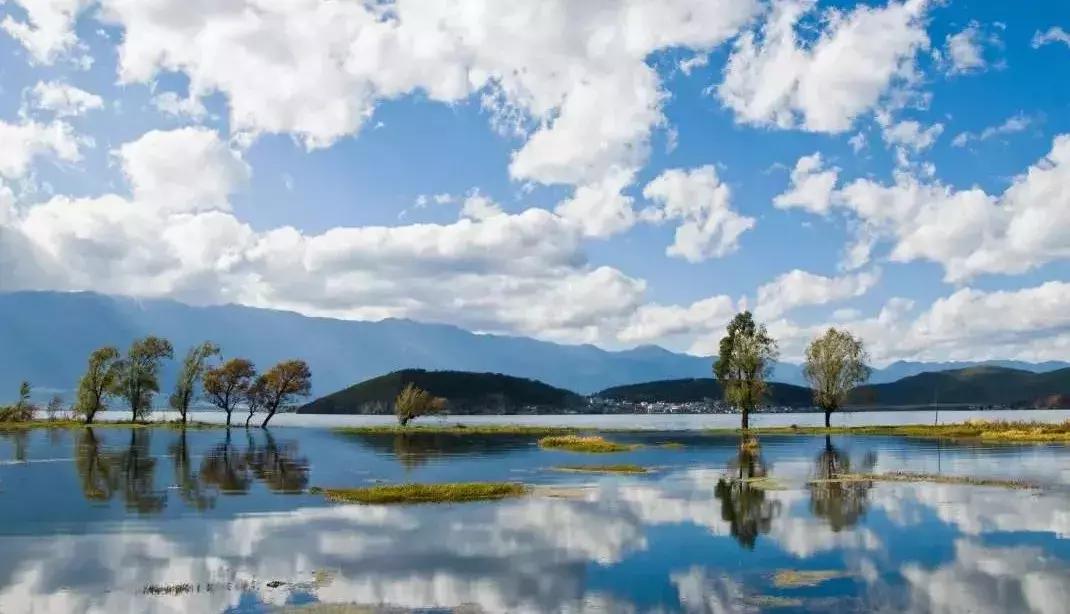 北漂在大理的生活,北漂女子住大理