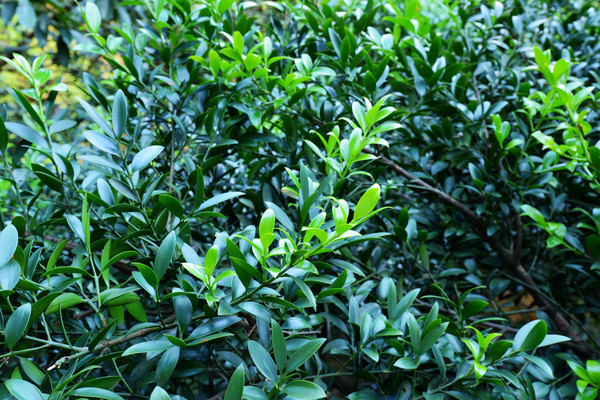 徐霞客游过的地方有哪些,徐霞客游了哪几个省