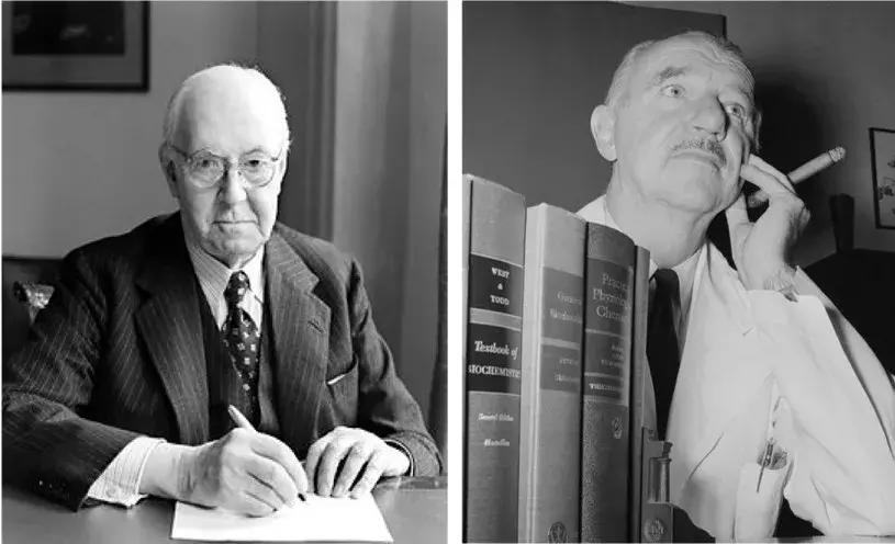 催产素,不仅仅是催产那么简单!