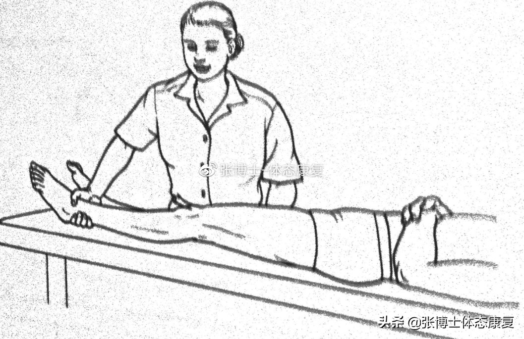 「译文分享」人体侧向子系统与单腿运动的稳定性